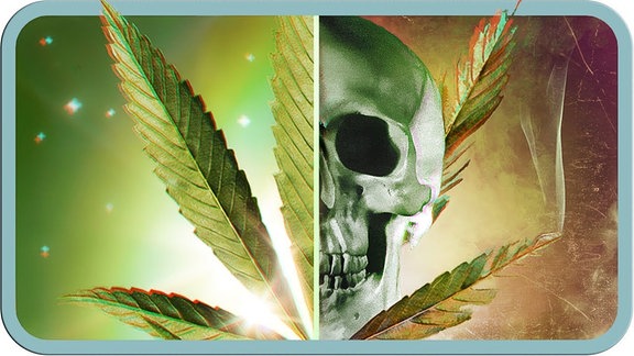 Halb Cannabis-Blatt, halb Totenschädel.
