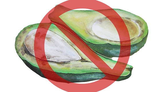 Eine gezeichnete Avocado mit einem Verbotskreis