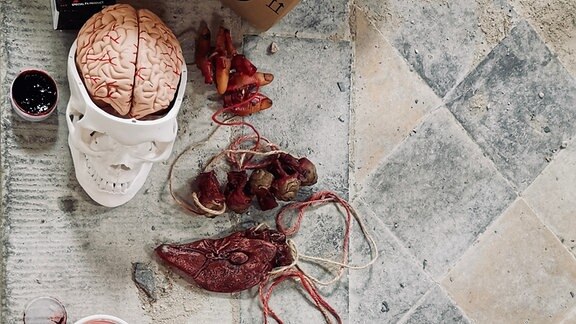 Schädel, Gehirn und andere Körperteile