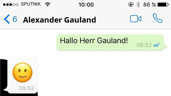 Alexander Gauland antwortet mit Emojis auf unsere Fragen