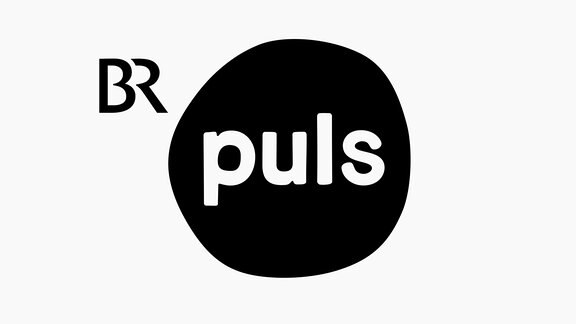 Logo von PULS