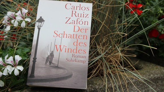 Das Buch "Sommerbuch: Der Schatten des Windes" von Carlos Ruiz Zafon wurde vor einer Pflanze.