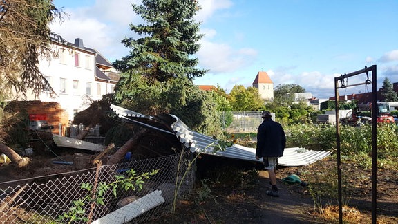 Sturmschäden in einem Garten. Fotografiert von Nicole in Magdeburg.