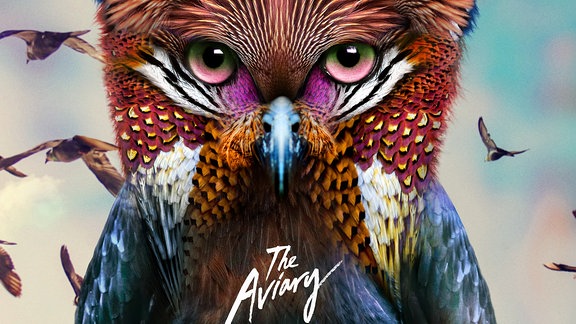 Das Galantis "The Aviary" Cover mit einer bunten Fantasieeule und Vögeln