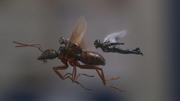 Szene aus "Ant-Man and the Wasp"