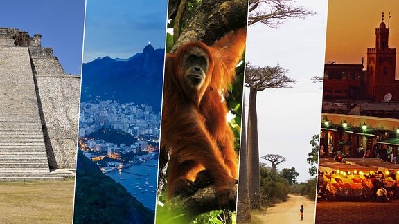 Collage/Mexiko | Brasilien | Indonesien | Madagaskar | Marokko