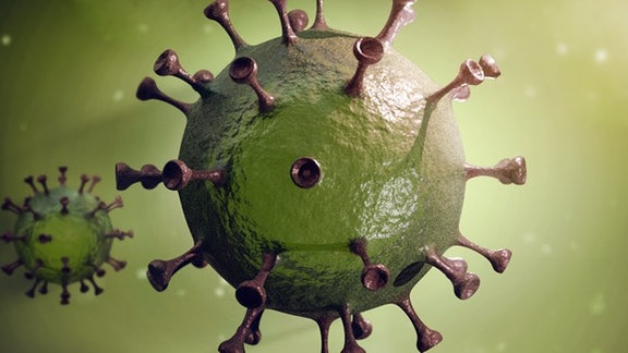 Die Grafik zum Video "Coronavirus: So gefährlich ist es wirklich" von MrWissen2go zeigt, wie eine Großaufnahme des Coronavirus ungefähr aussehen könnte.